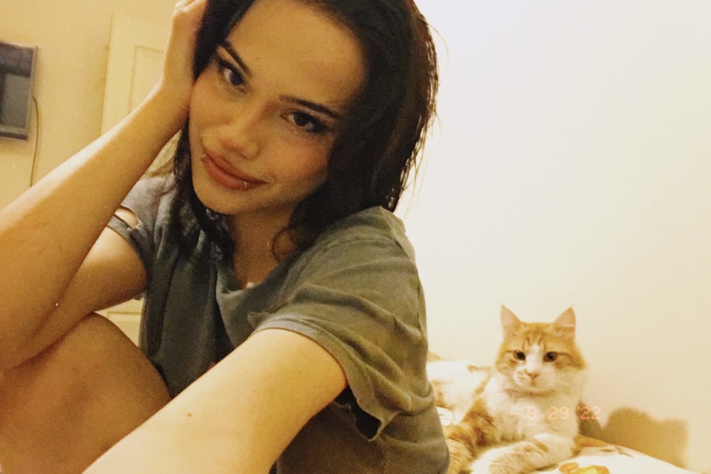 sitter photo