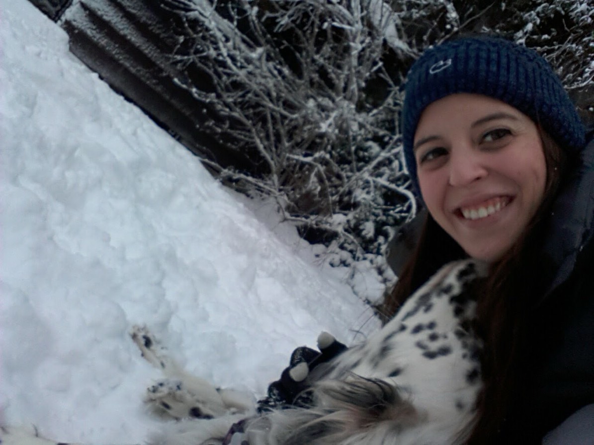 sitter photo