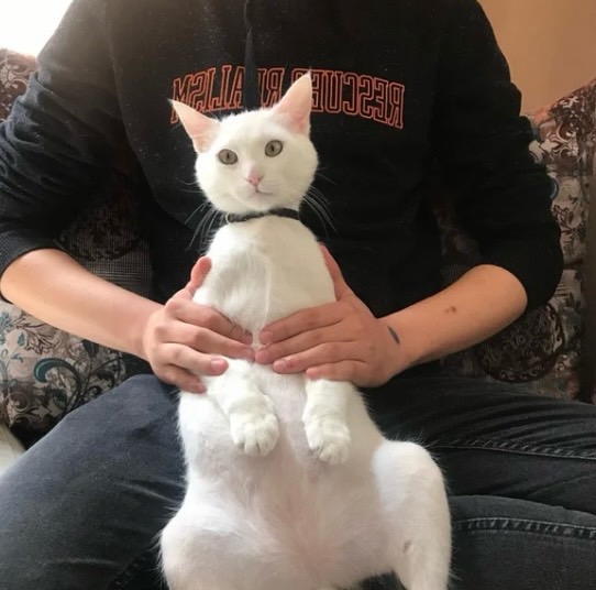 sitter photo