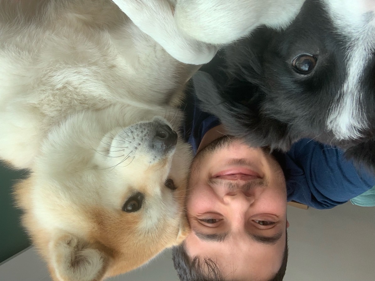 sitter photo