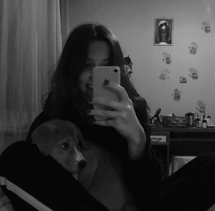 sitter photo