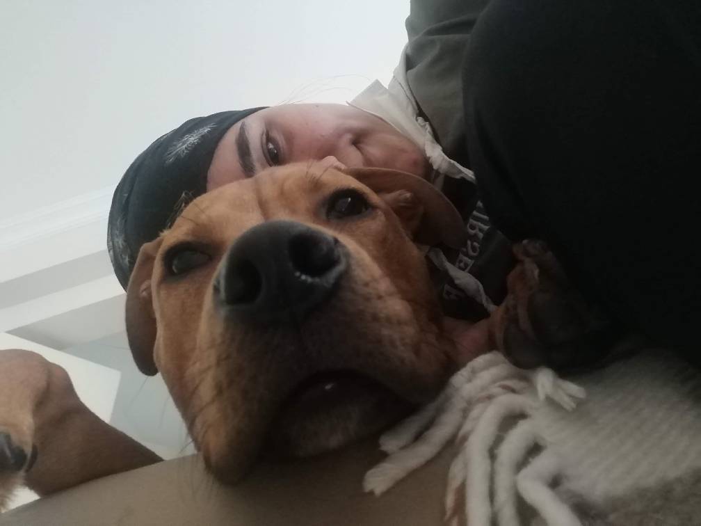 sitter photo
