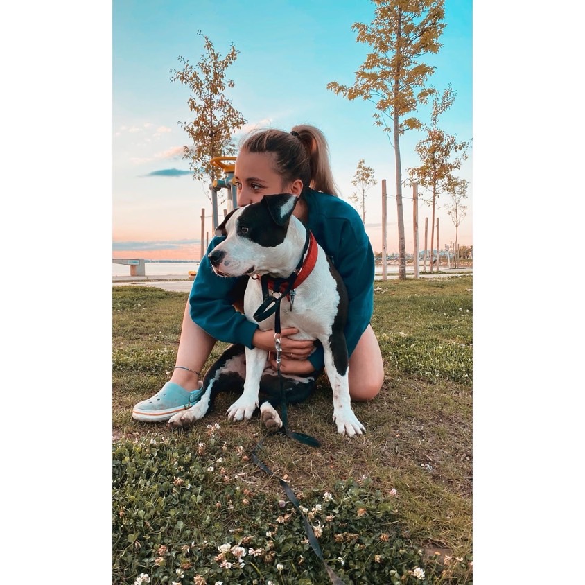 sitter photo