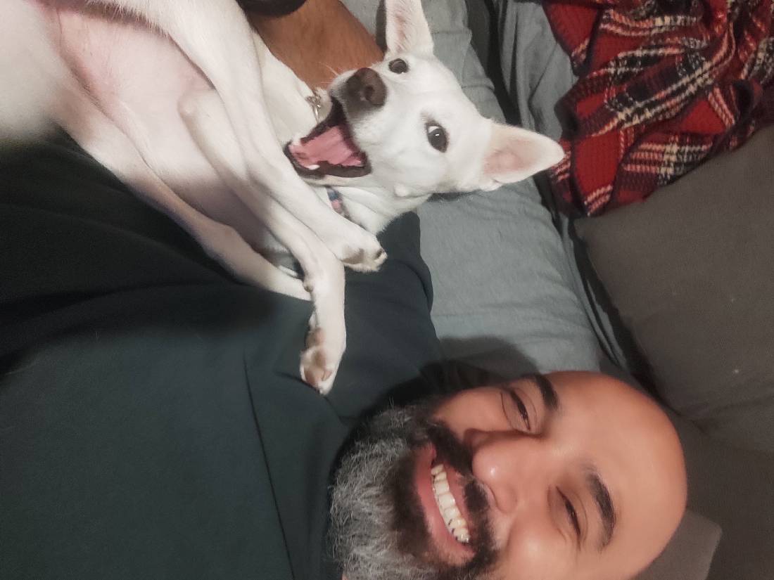 sitter photo