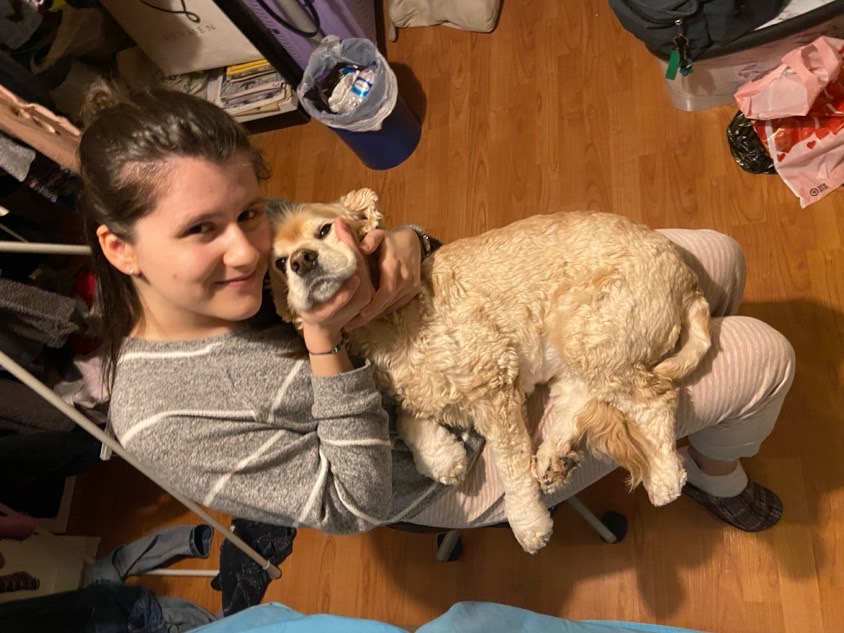 sitter photo