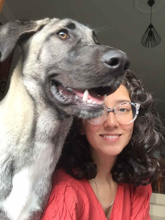 sitter photo