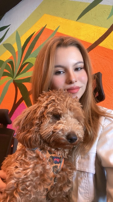 sitter photo