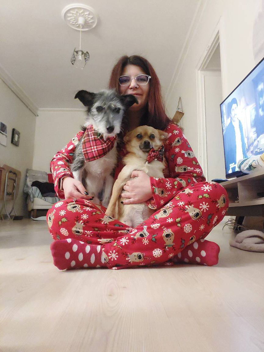 sitter photo
