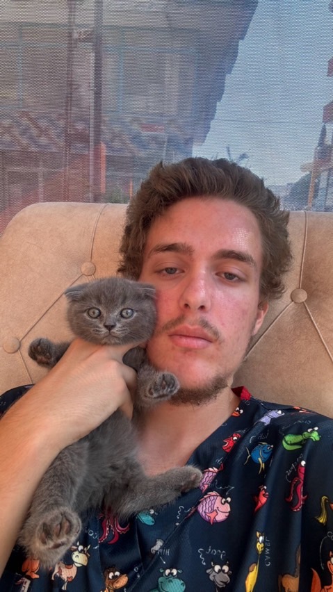 sitter photo