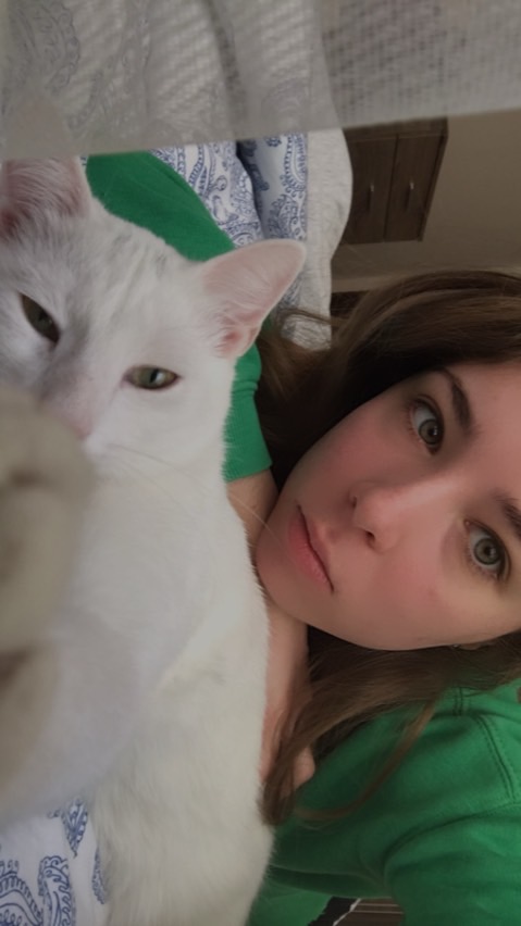 sitter photo