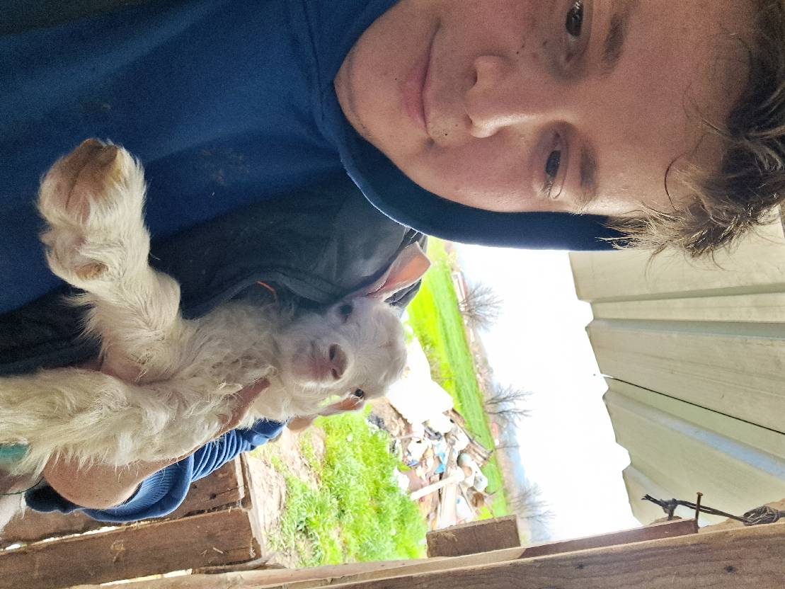 sitter photo