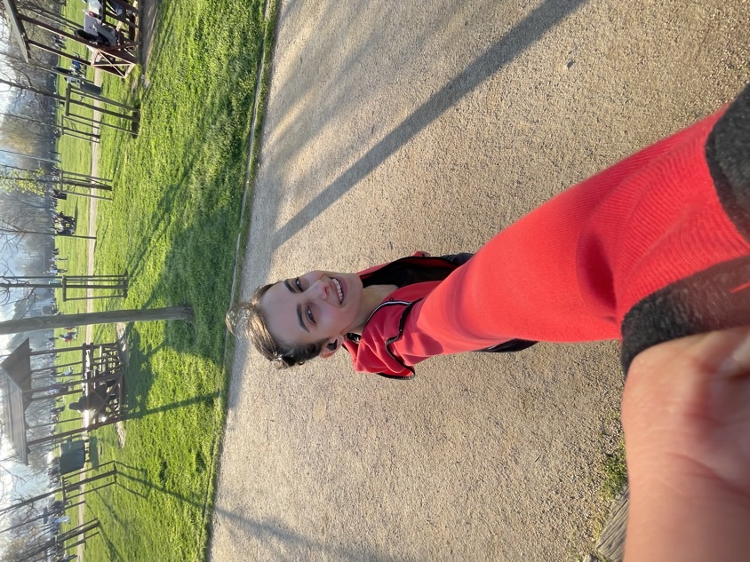 sitter photo