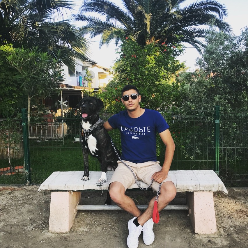 sitter photo