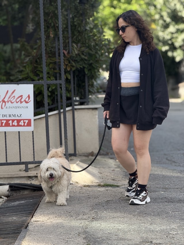 sitter photo