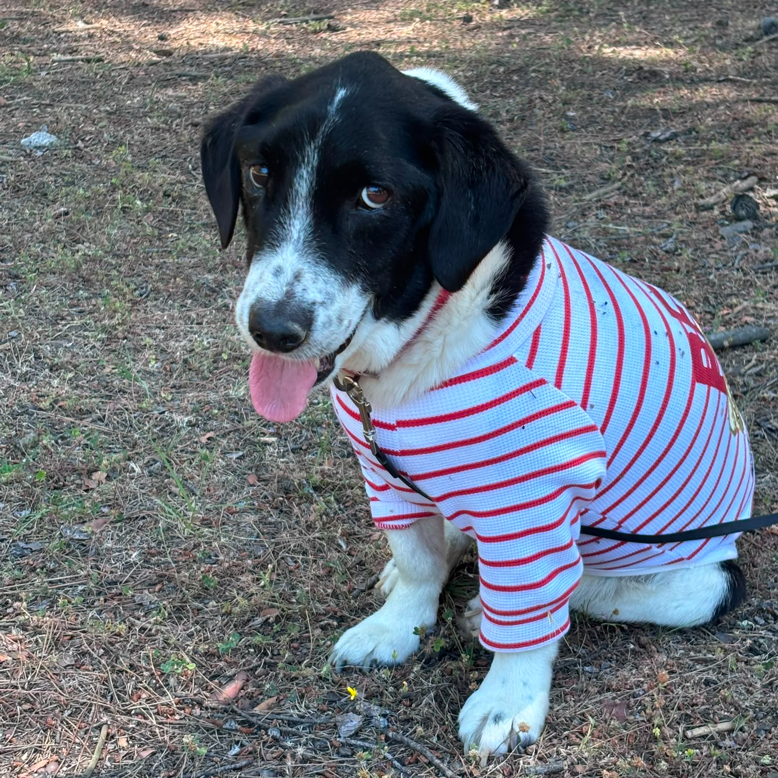 Elif Ç.
