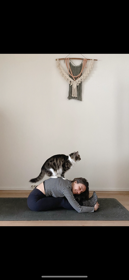 sitter photo