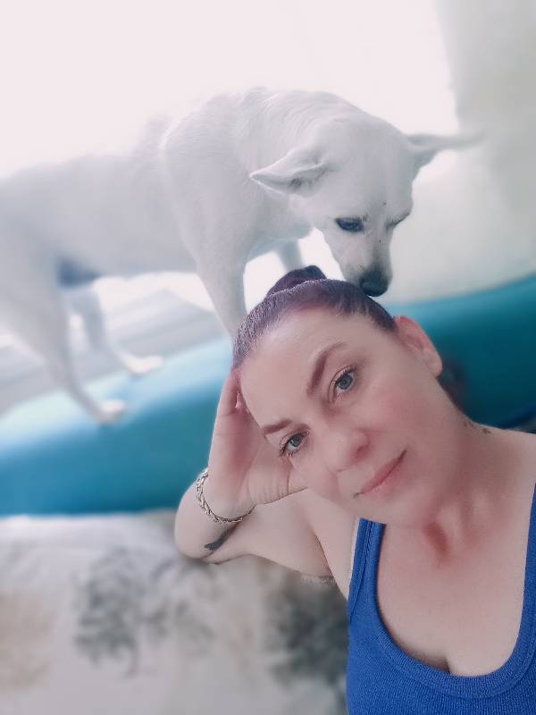 sitter photo