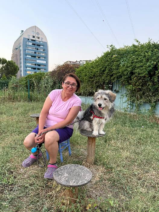 sitter photo