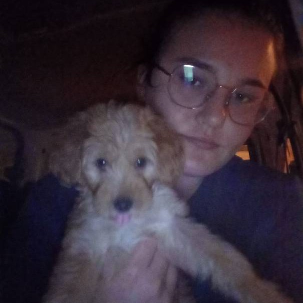 sitter photo