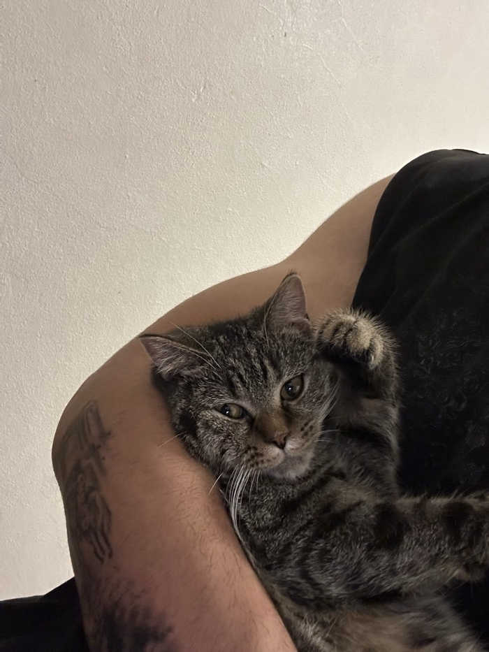 sitter photo