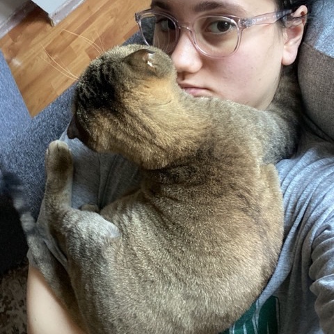 sitter photo