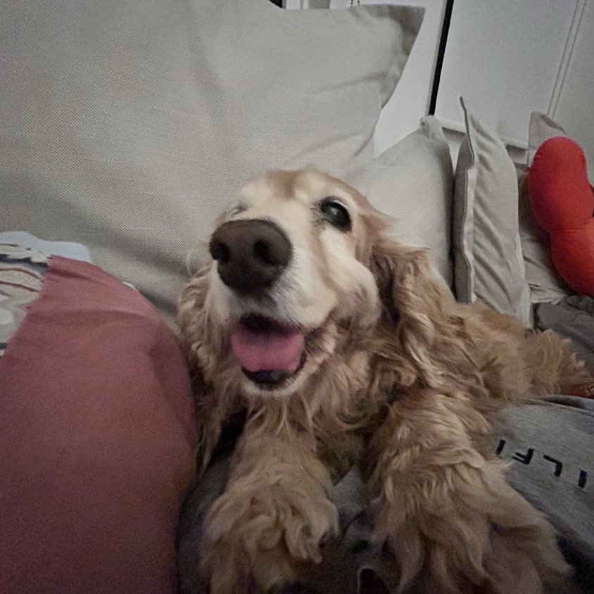 sitter photo