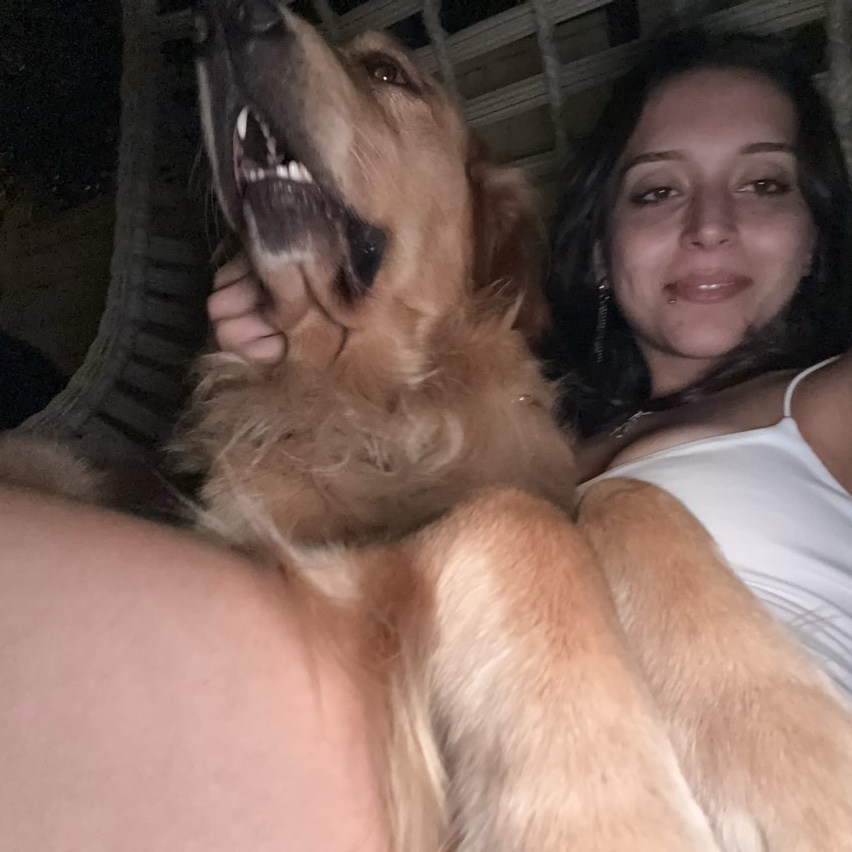sitter photo