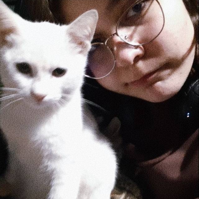 sitter photo