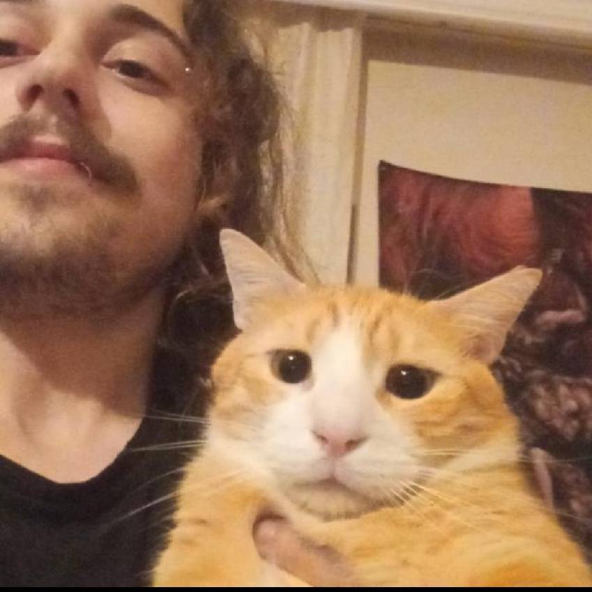 sitter photo