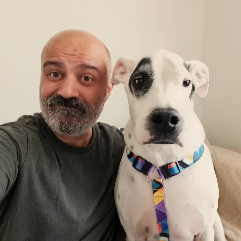sitter photo