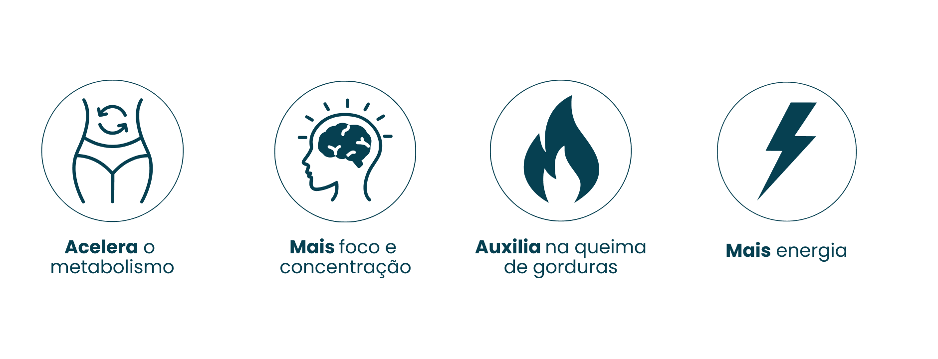 Ícones Creatina Thermo