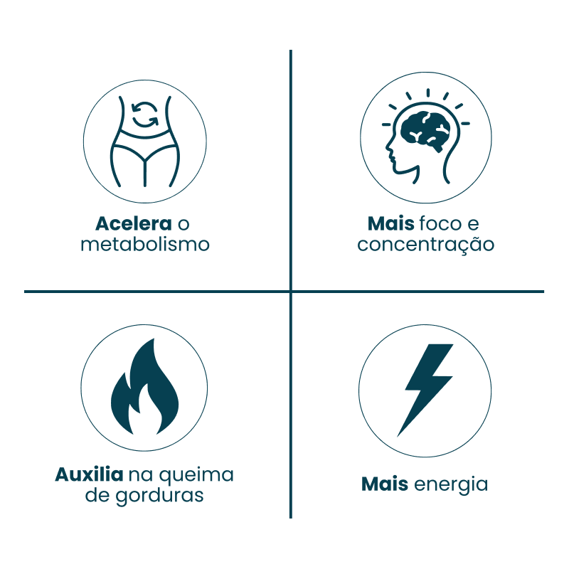 Ícones Creatina Thermo