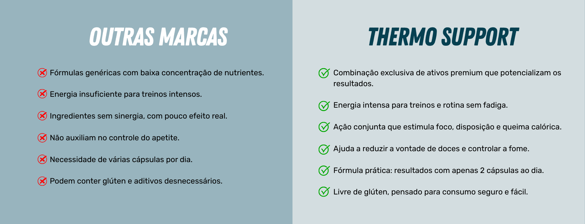 O que você encontra Creatina Thermo