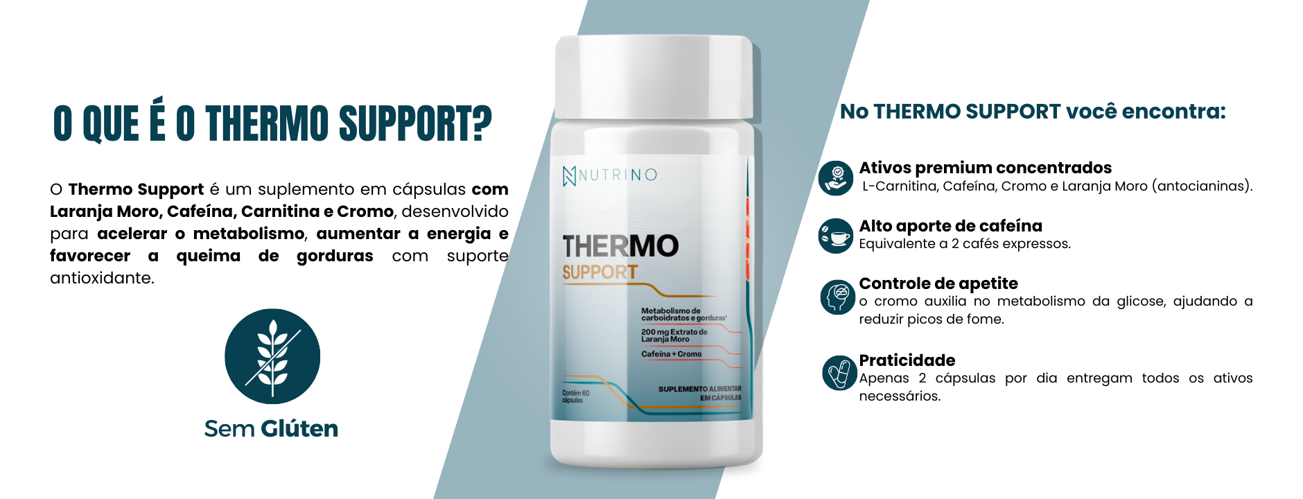 O que é Creatina Thermo