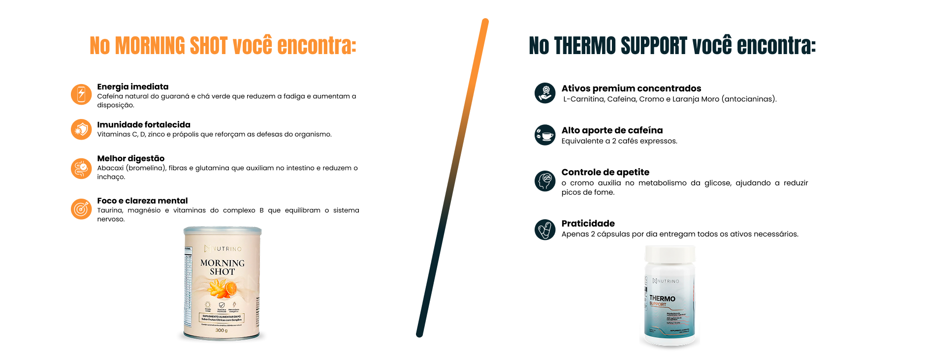 O que voc&ecirc; vai encontrar