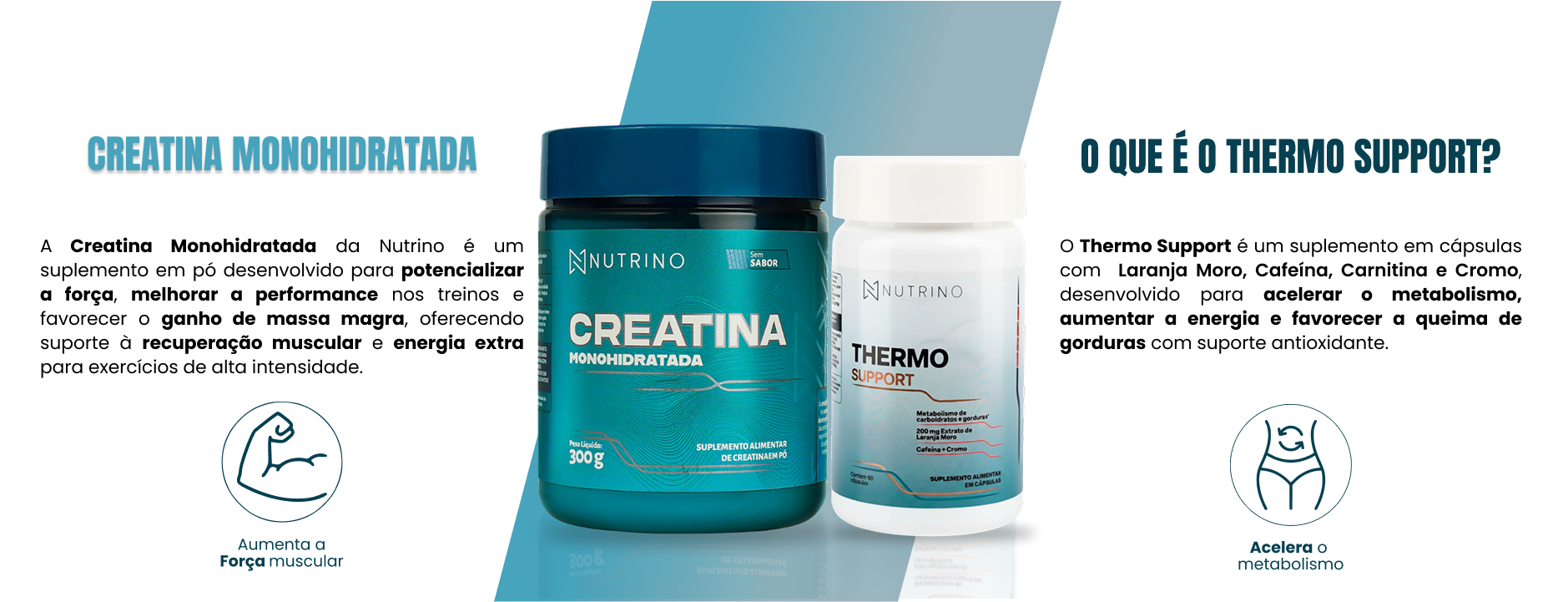 O que é Creatina Thermo