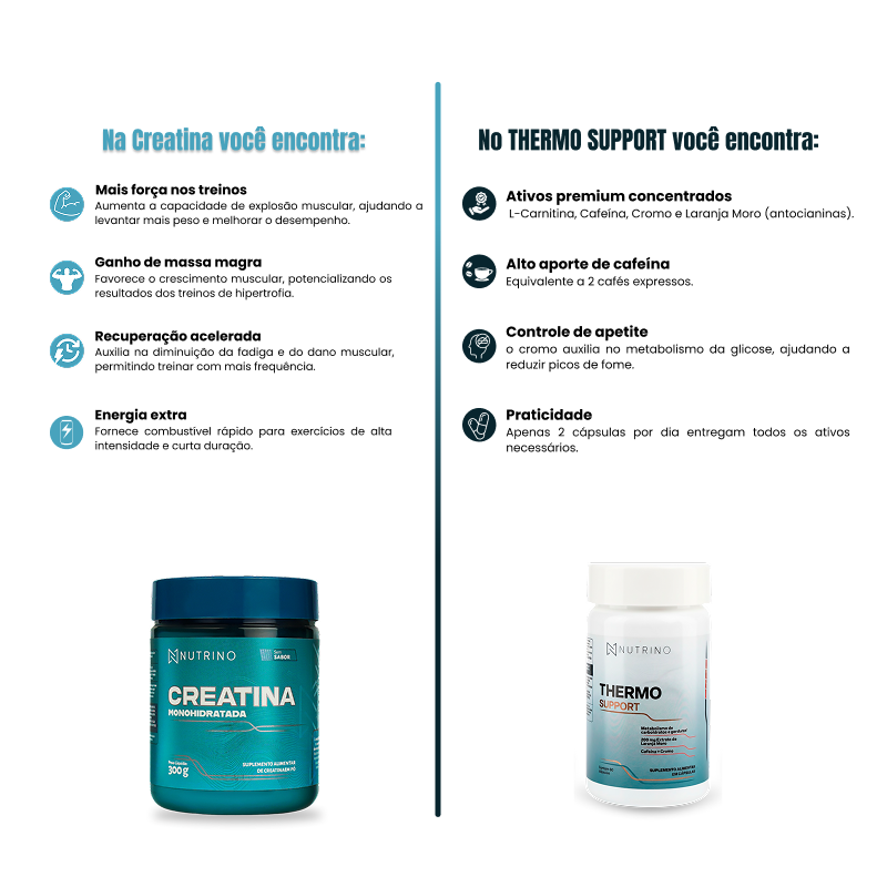 O que você encontra Creatina Thermo