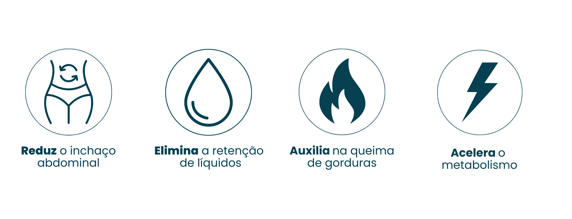 Ícones Creatina Thermo