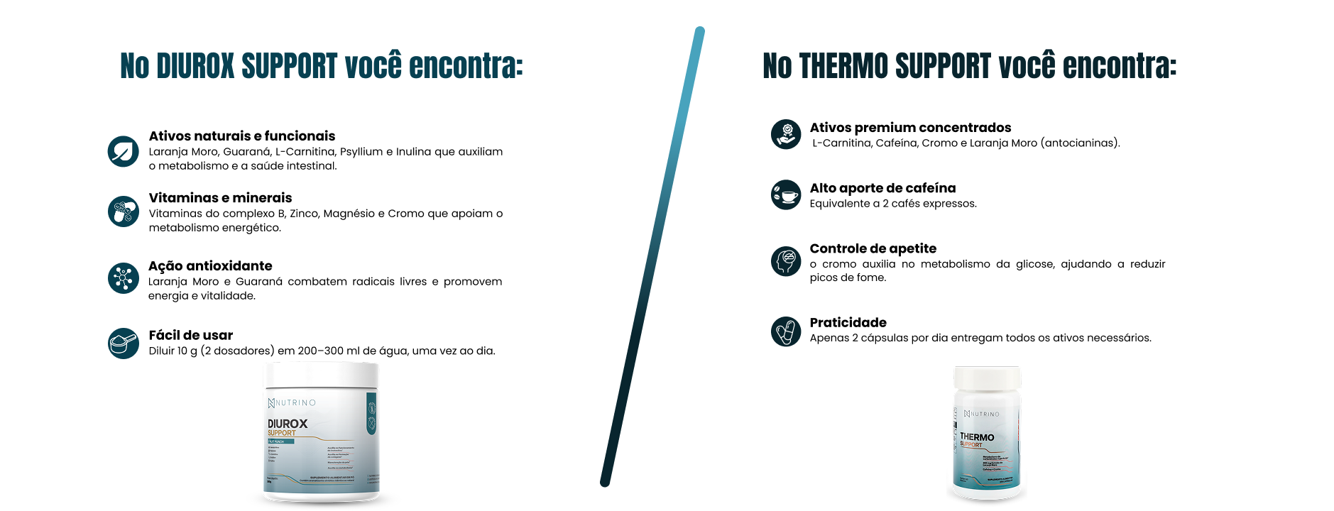 O que você encontra Creatina Thermo