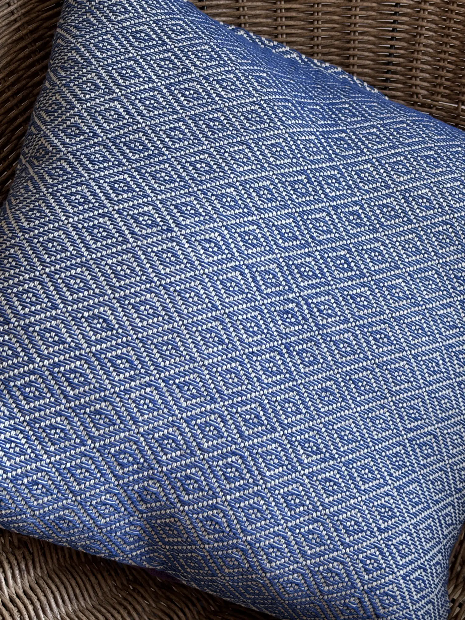 Cushion Cover of Jardín de Tramas - Image 1