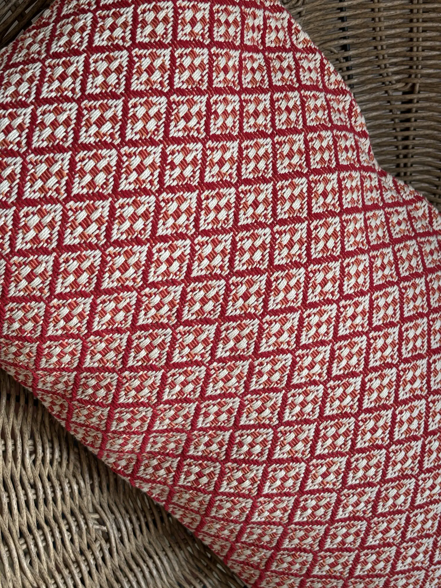 Cushion Cover of Jardín de Tramas - Image 1