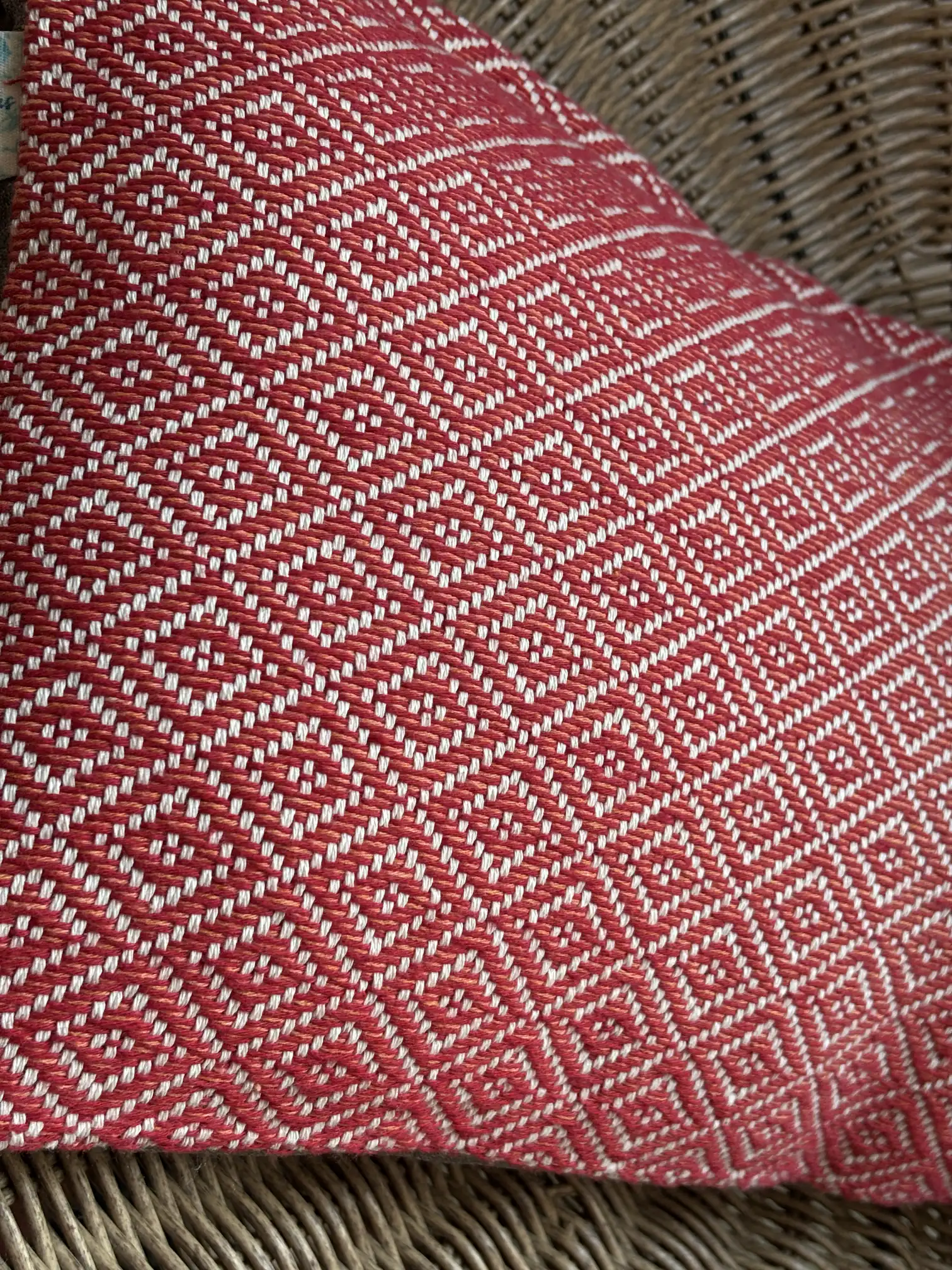 Cushion Cover of Jardín de Tramas - Image 1