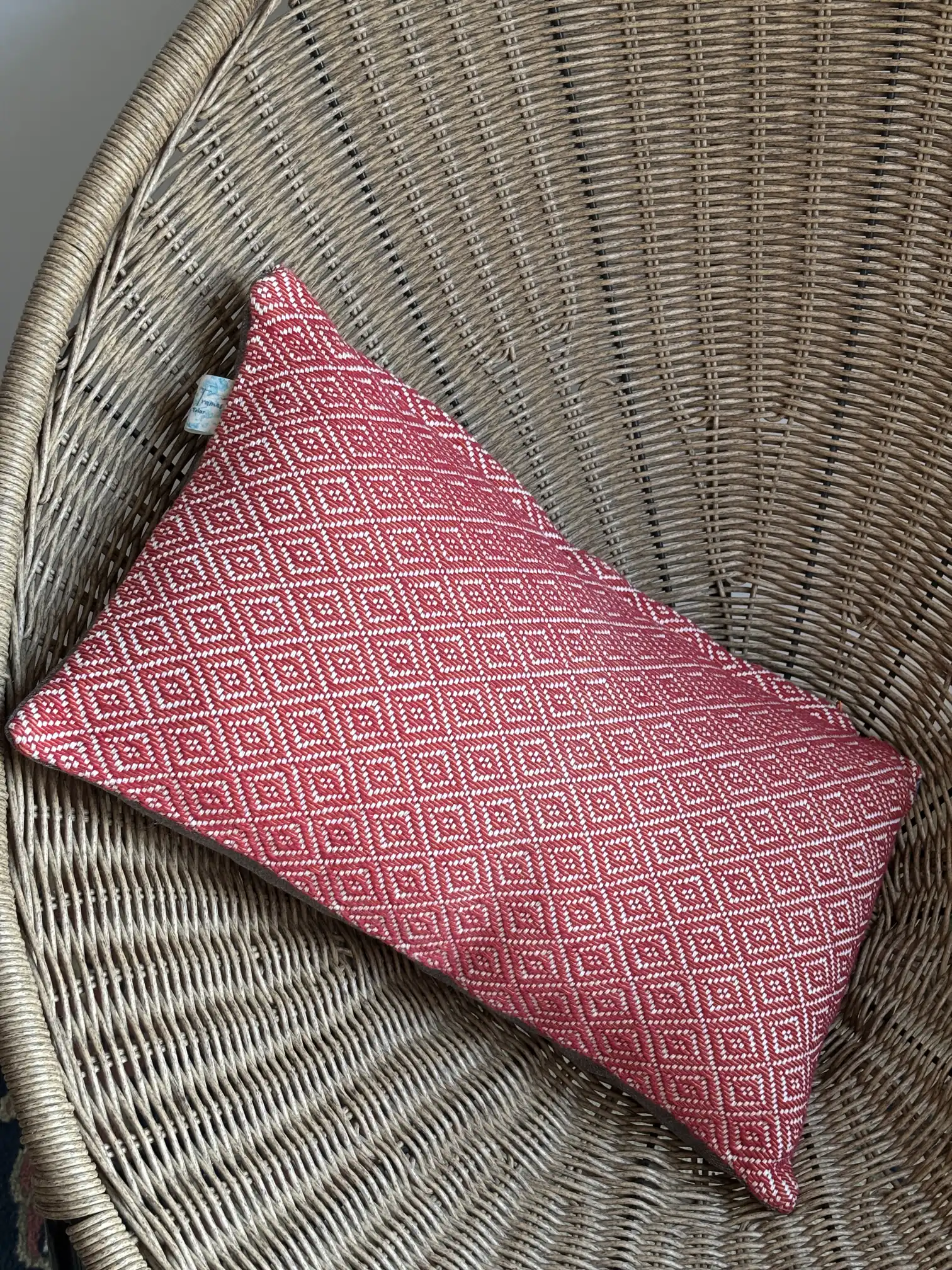 Cushion Cover of Jardín de Tramas - Image 0