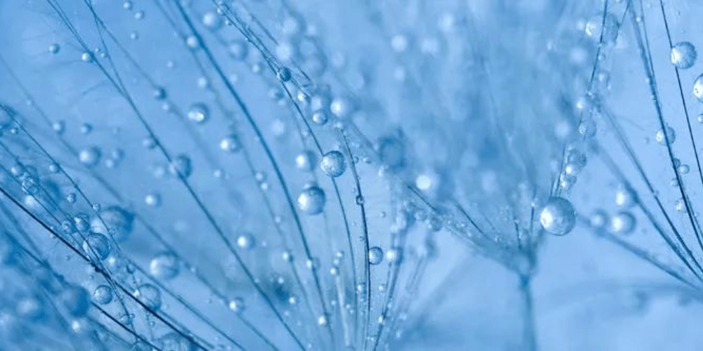 Perpetual Conservative Growth Fund InvestmentMarkets Find & Compare