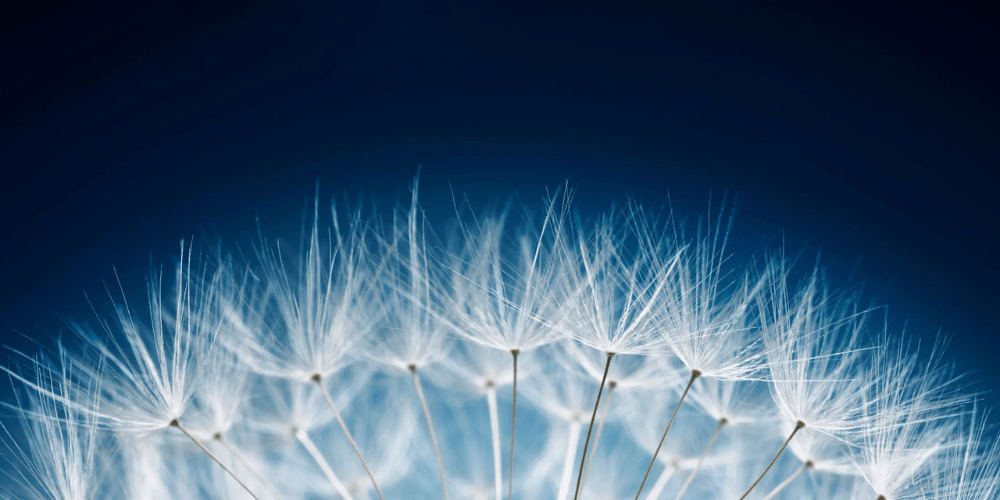 Perpetual Balanced Growth Fund InvestmentMarkets Find & Compare