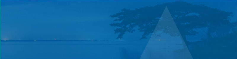 Magellan Global Fund - Open Class Units - Active ETF