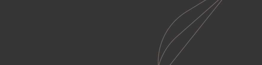 AGEM Core Services Opportunity Fund