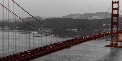 Sharpbridge Equites Fund