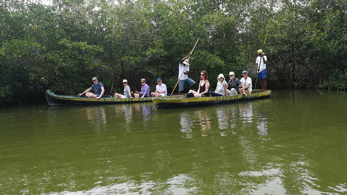 Experiencia de Manglares en La Boquilla — foto principal