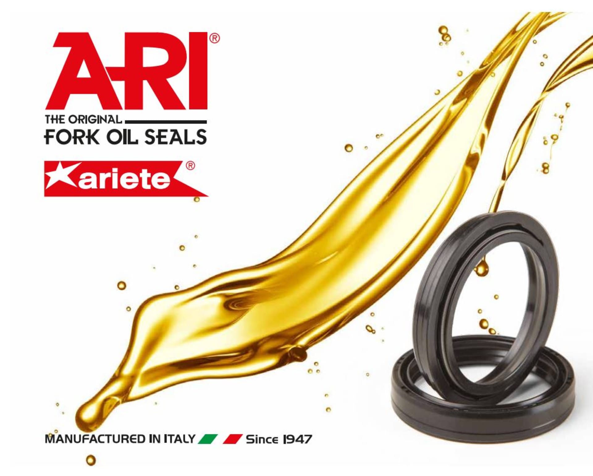 ARI Oil seal, 48 x 57,9 x 9,5/11,5 - Ariete